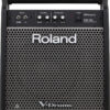 Roland PM-100 Personal Monitor - Image 4